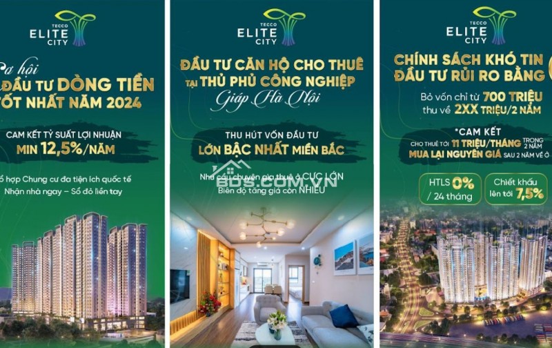 GÀ ĐÈ TRỨNG VÀNG Tại Tecco Elite City Thái Nguyên Chỉ Từ 800 Triệu